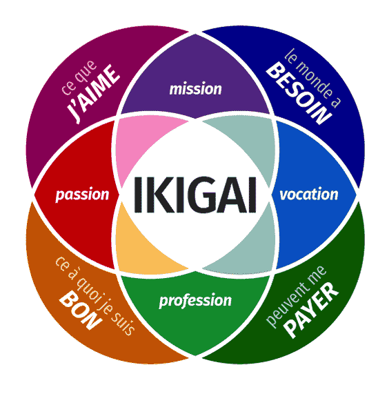logo_IKIGAI logo IKIGAI